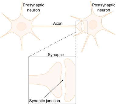 synesthesia figure 2