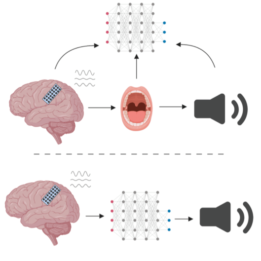 bcifig1
