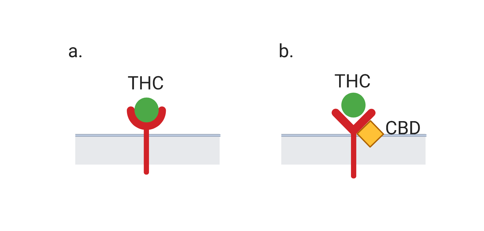 cbd_epilepsy_fig1