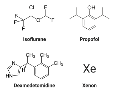 Anesthetic Structures