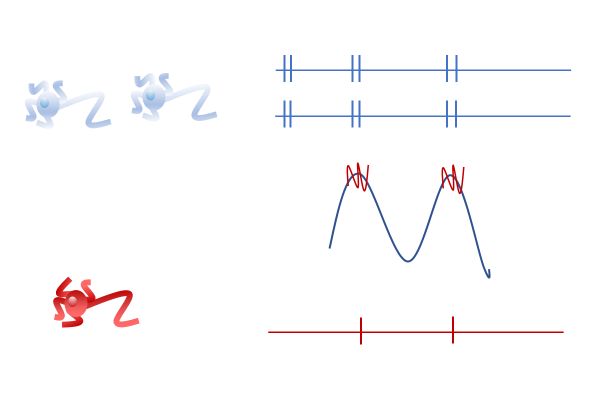 brainwaves_coupling_fig6.png