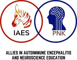 IAES_PNK Partnership logo