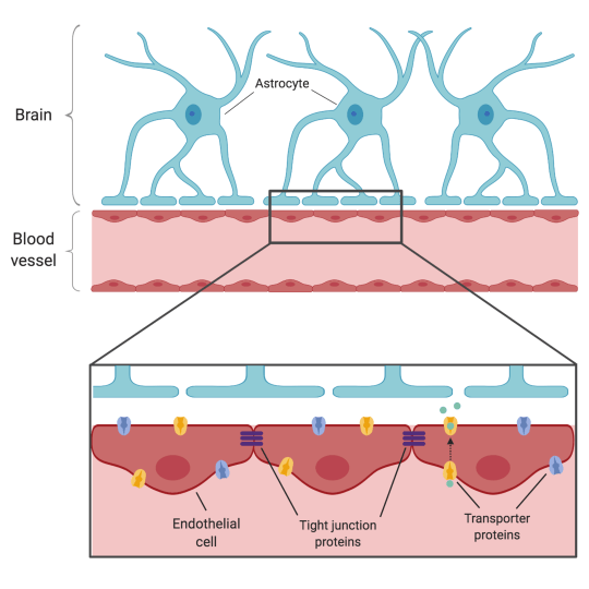 IAES BBB Figure 1