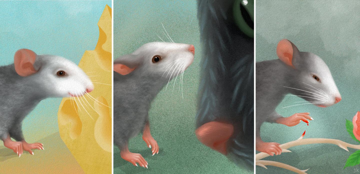 mouse_facial_expressions
