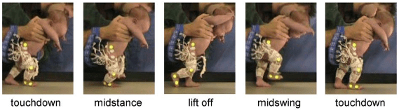 Ivanenko_baby_walking