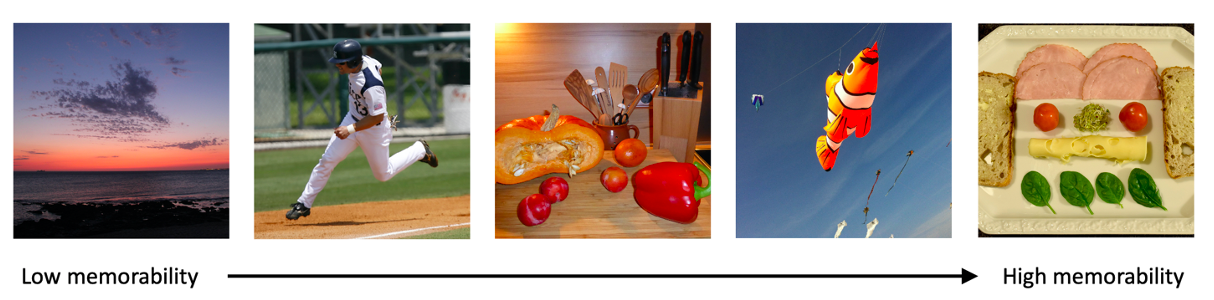 Image memorability: A shared tendency to remember certain things we see ...