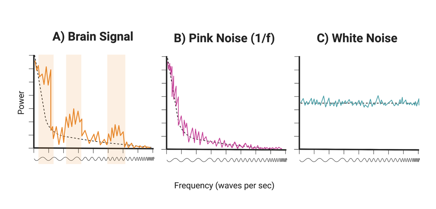 Cutting through the “noise” PennNeuroKnow