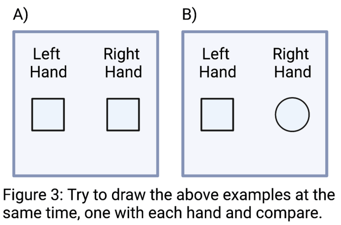 When you add two halves, do you get a whole? – PennNeuroKnow