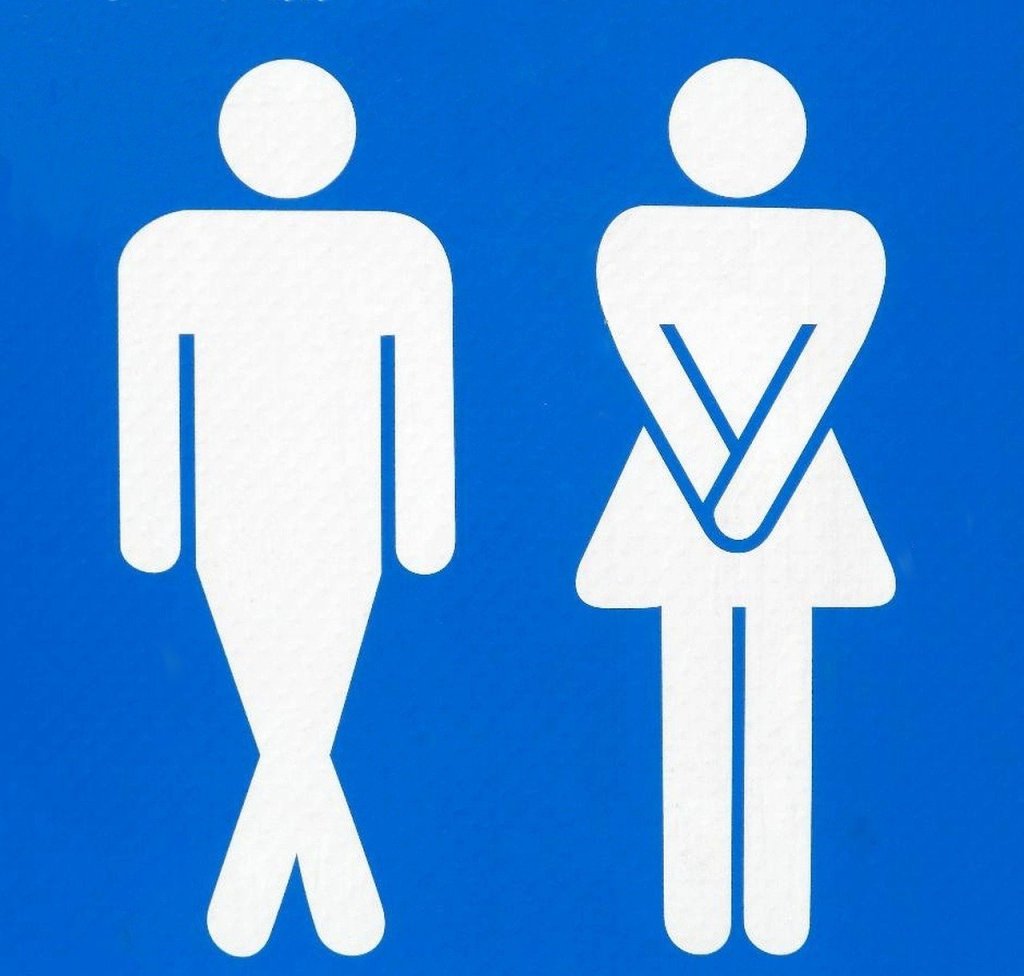 To pee or not to pee: How the brain controls the bladder