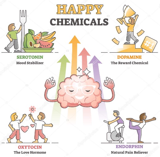 Your daily D.O.S.E of happiness: Uncovering the complexities of the ...