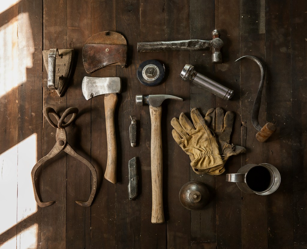 Clever creatures and the tools they&nbsp;use