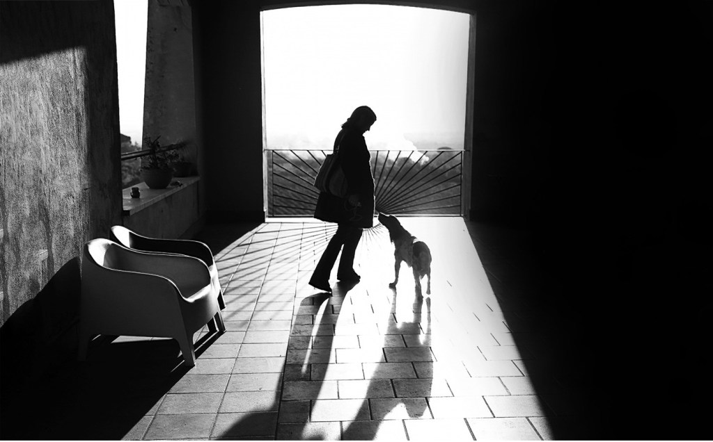 Becoming man’s best friend: Biology’s survival guide for animals in a world with&nbsp;humans